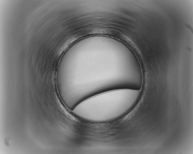 X0000100481033200806130728