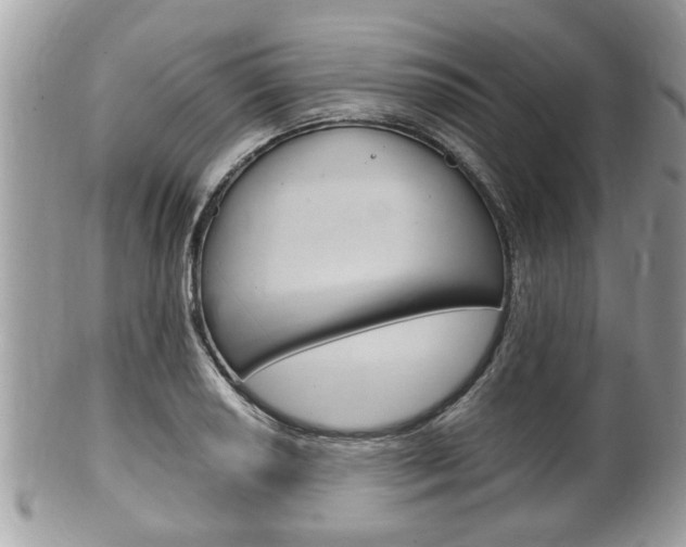 X0000100481034200806130728