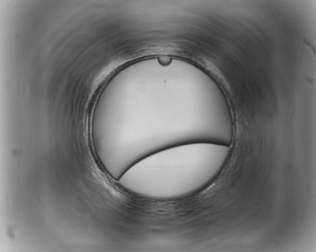X0000100481035200806130728