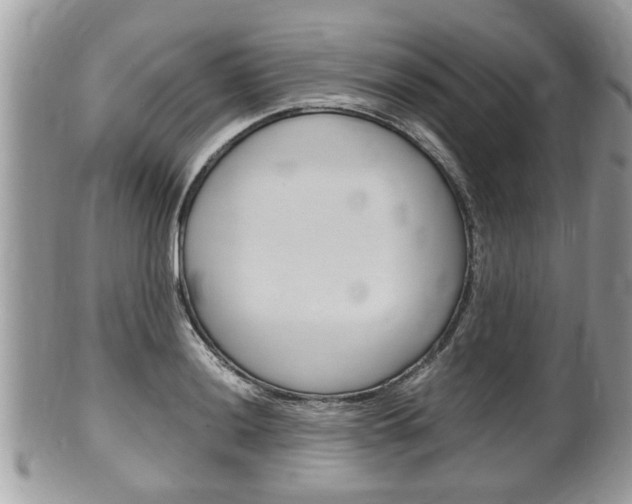X0000100481036200806130728