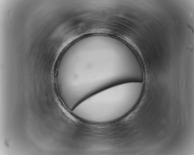 X0000100481037200806130728