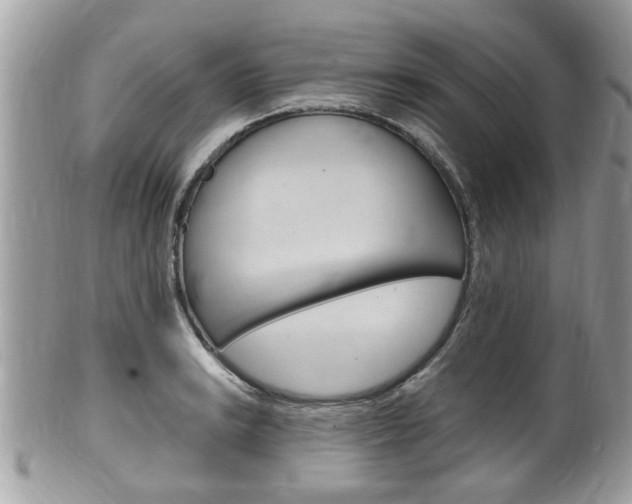 X0000100481038200806130728