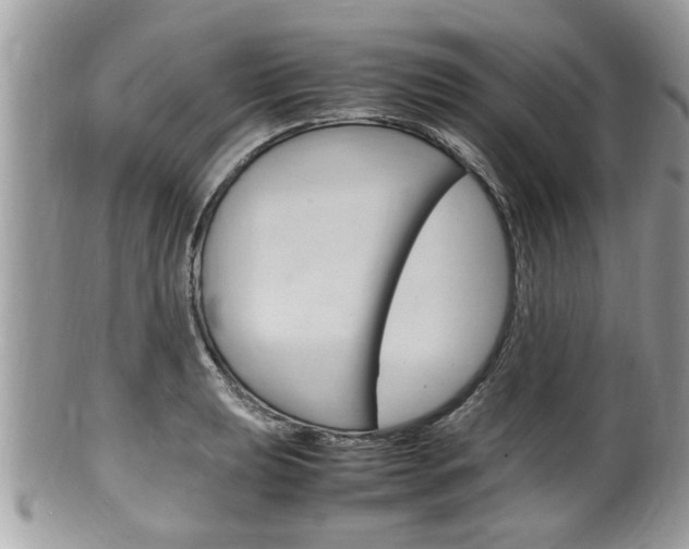 X0000100481039200806130728