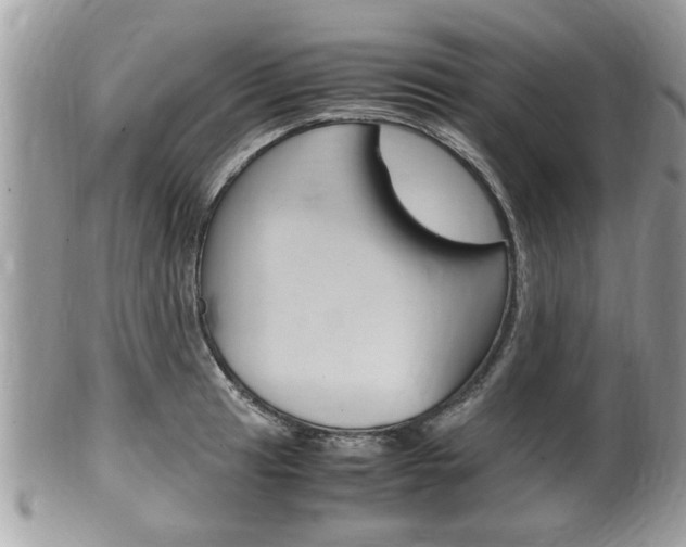 X0000100481041200806130728
