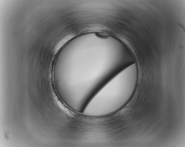 X0000100481042200806130728