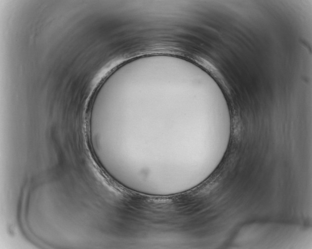 X0000100481043200806130728
