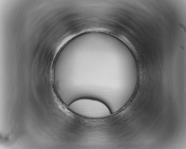 X0000100481044200806130728