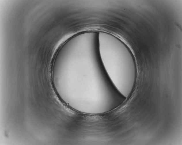 X0000100481045200806130728