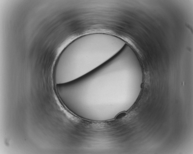 X0000100481046200806130728