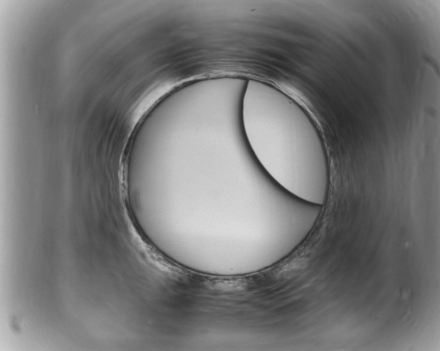 X0000100481047200806130728