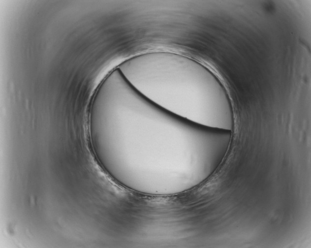 X0000100481048200806130728