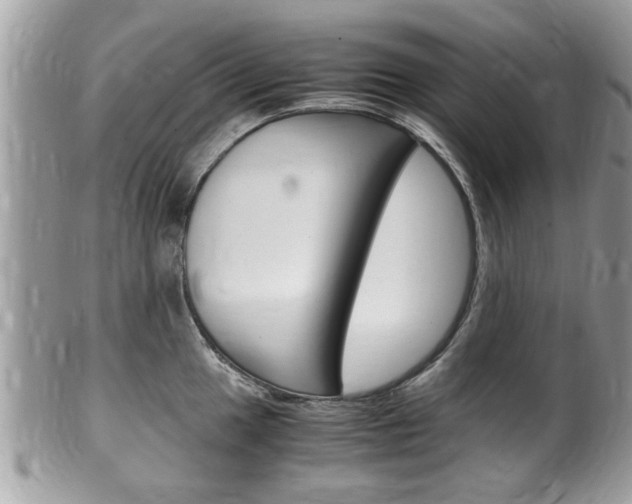 X0000100481049200806130728