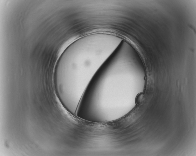 X0000100481050200806130728