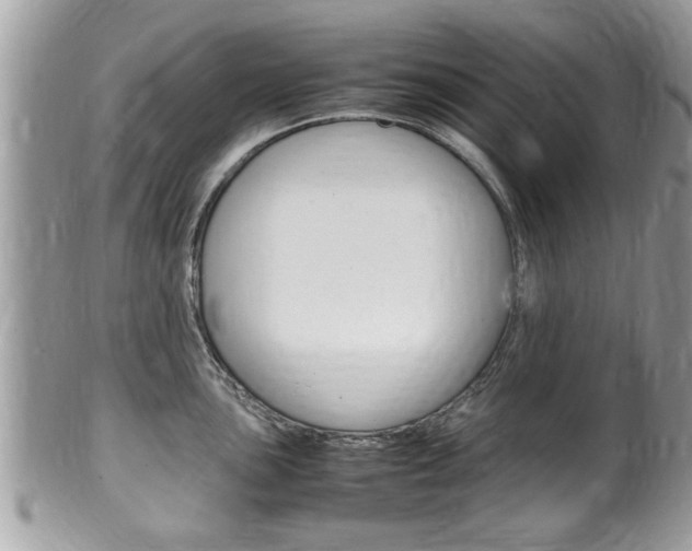 X0000100481051200806130728