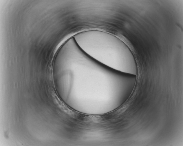 X0000100481052200806130728