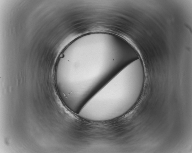 X0000100481053200806130728