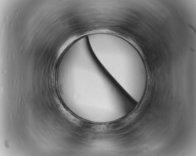 X0000100481054200806130728