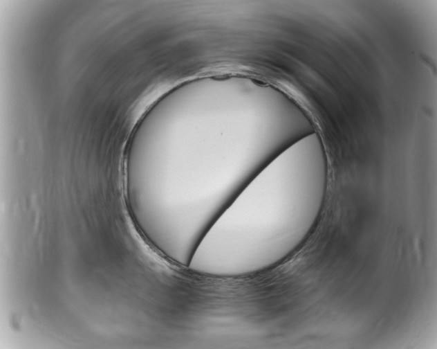 X0000100481055200806130728
