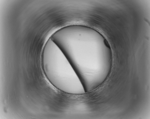 X0000100481056200806130728