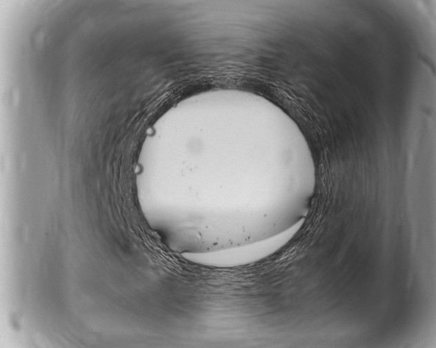 X0000100481057200806130728