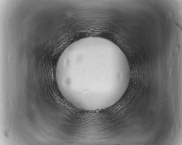 X0000100481058200806130727