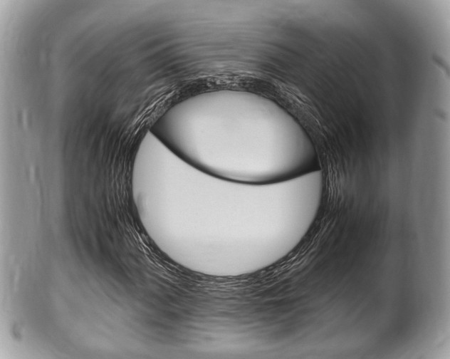 X0000100481060200806130727