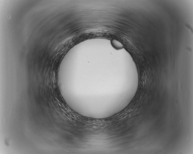 X0000100481062200806130727