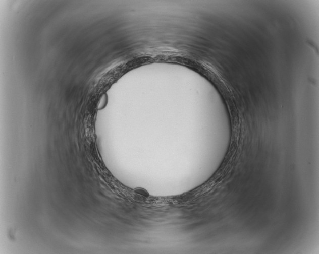 X0000100481063200806130727