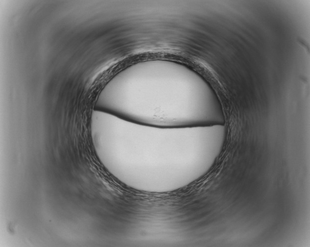 X0000100481064200806130727