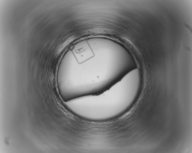 X0000100481065200806130727
