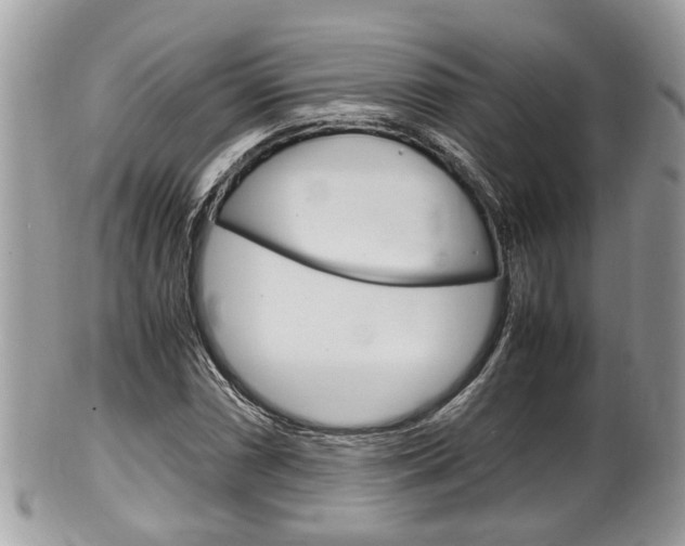 X0000100481066200806130727