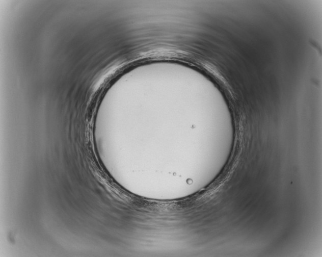 X0000100481067200806130727