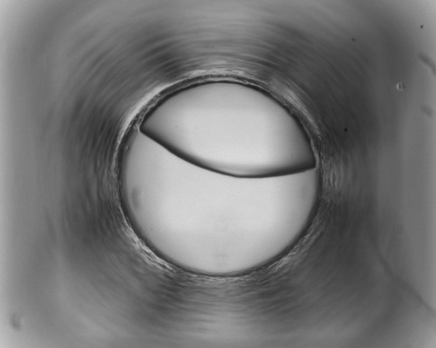X0000100481068200806130727