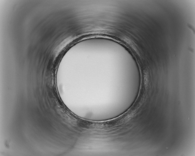 X0000100481069200806130727