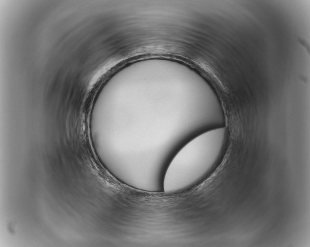 X0000100481070200806130727
