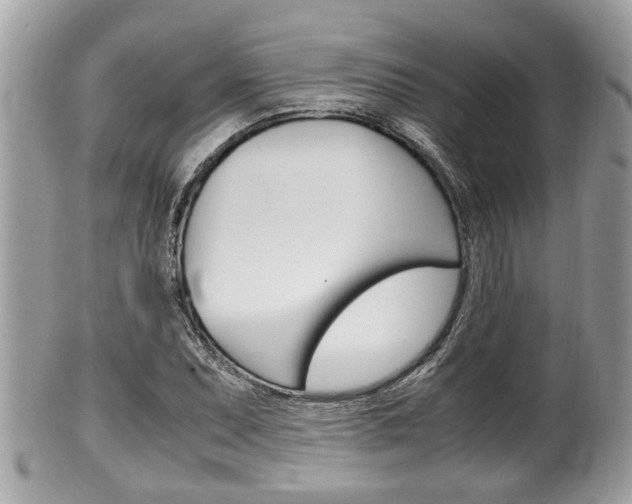 X0000100481071200806130727