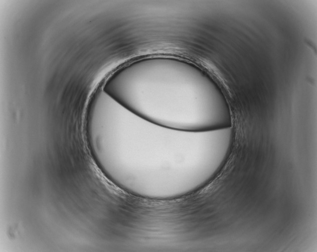 X0000100481072200806130727