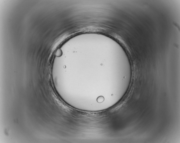 X0000100481075200806130727
