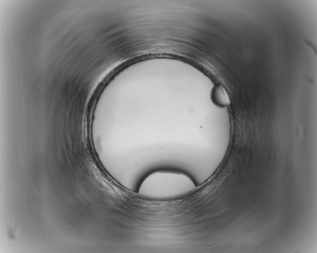 X0000100481076200806130727