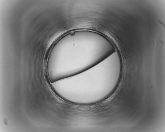 X0000100481077200806130727