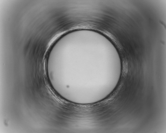 X0000100481078200806130727