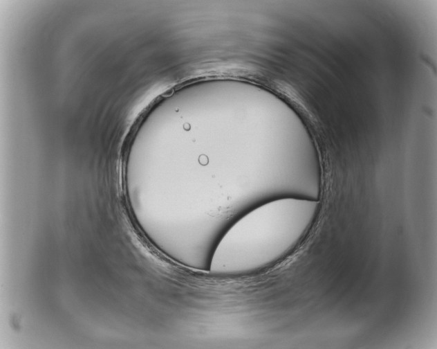 X0000100481079200806130727