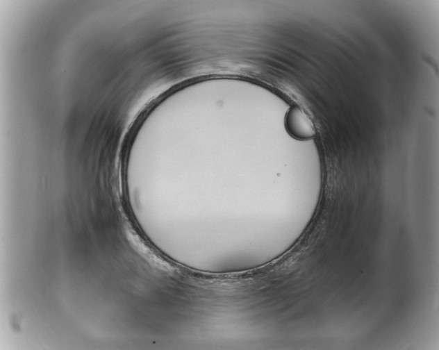 X0000100481080200806130727