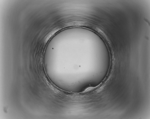 X0000100481081200806130727
