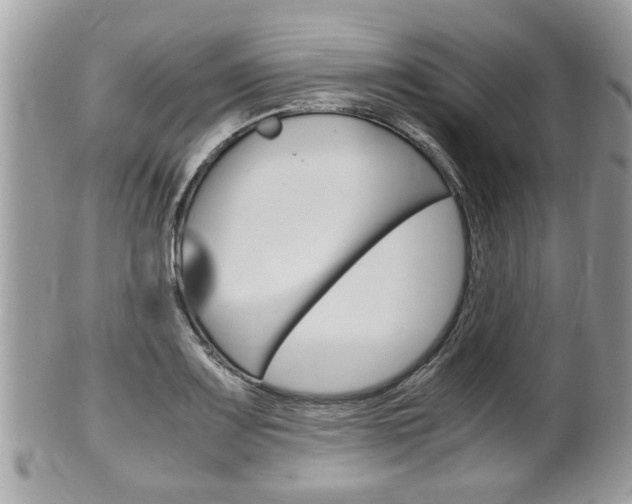 X0000100481083200806130727