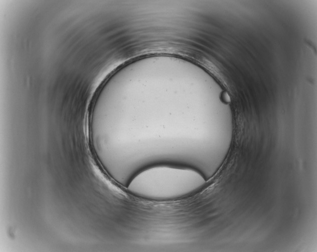 X0000100481084200806130727