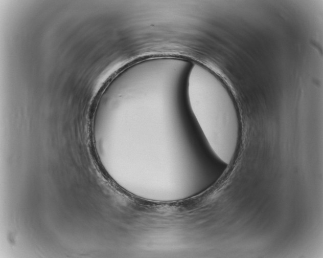 X0000100481085200806130727