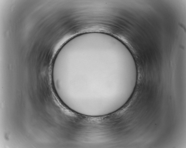 X0000100481086200806130727