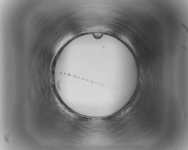 X0000100481087200806130727