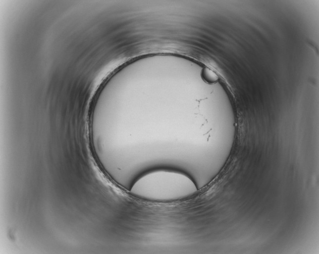 X0000100481088200806130727